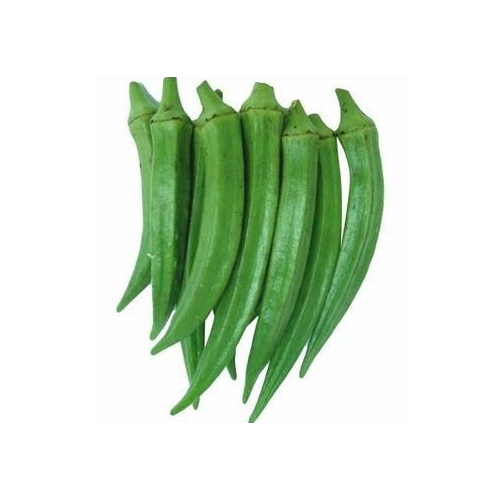 Fresh Okra - Moisture (%): 5% - 10%