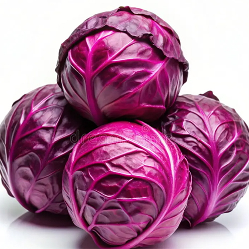 Purple Cabbage