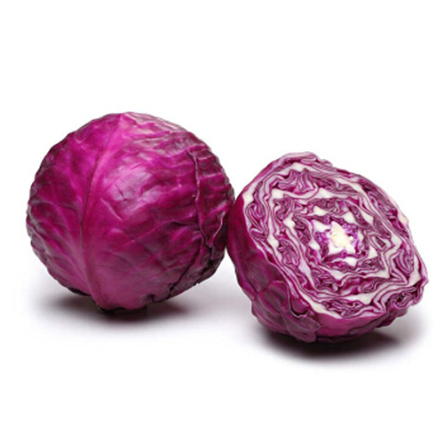 Purple Cabbage