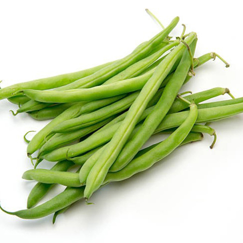 Organic Ghewda