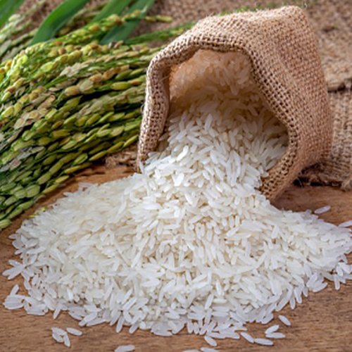 Pure Basmati Rice - Cultivation Type: Common