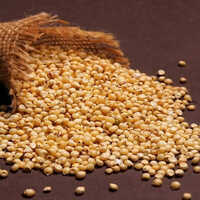 Pure Jawar - 98% Purity, Smooth Texture | Fresh with 3-6 Months Shelf Life, Common Cultivation