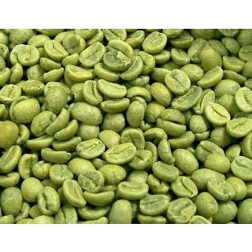 Aa Robusta Green Coffee Beans - Cultivation Type: Common