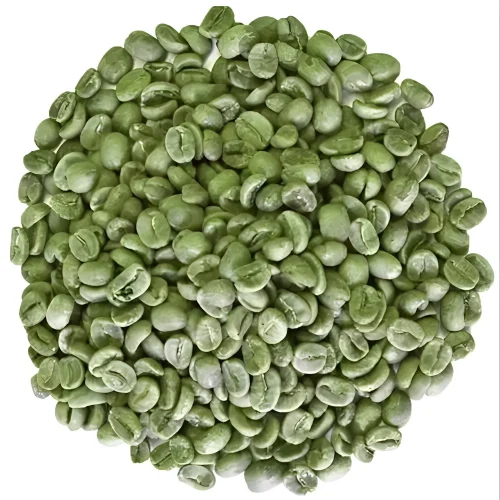 A Robusta Green Coffee Beans