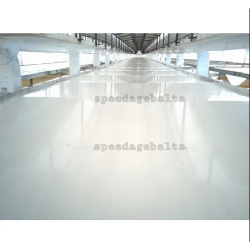 Poultry PVC Belt Conveyor