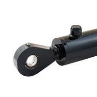 Welded Hydraulic Cylinder - Steel Material, 40mm Bore Diameter, Black Color , Customizable Telescopic Design For Heavy-duty Industrial Applications