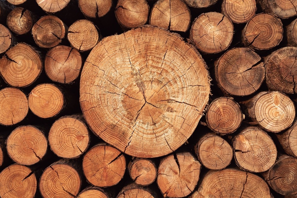 sandalwood  wood
