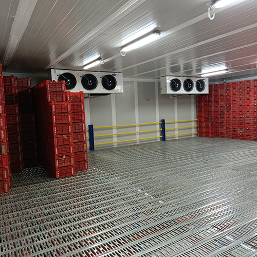Cold Storage Room - Climate Type: Cool