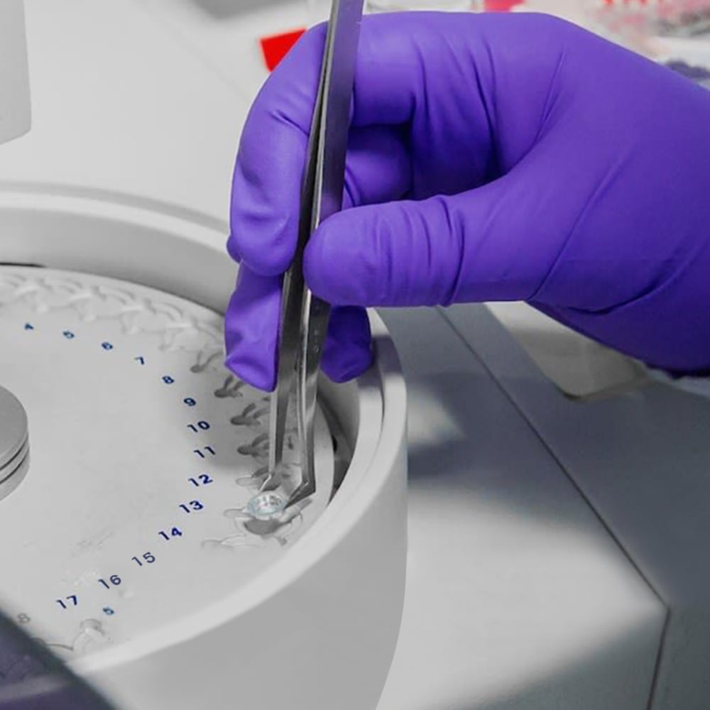 Kimberly Purple Gloves