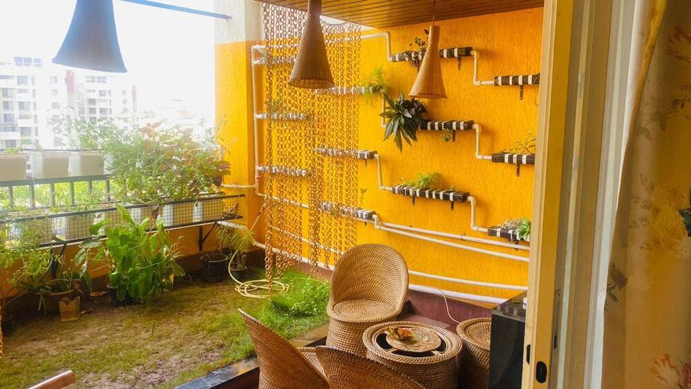 Hydroponics Plants - Color: Green