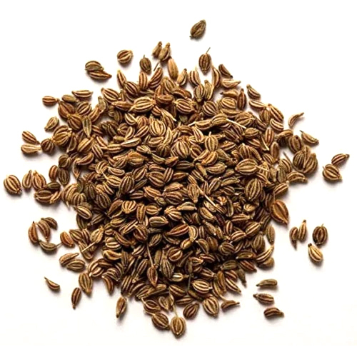 Dried Herbal Seeds - Color: Brown