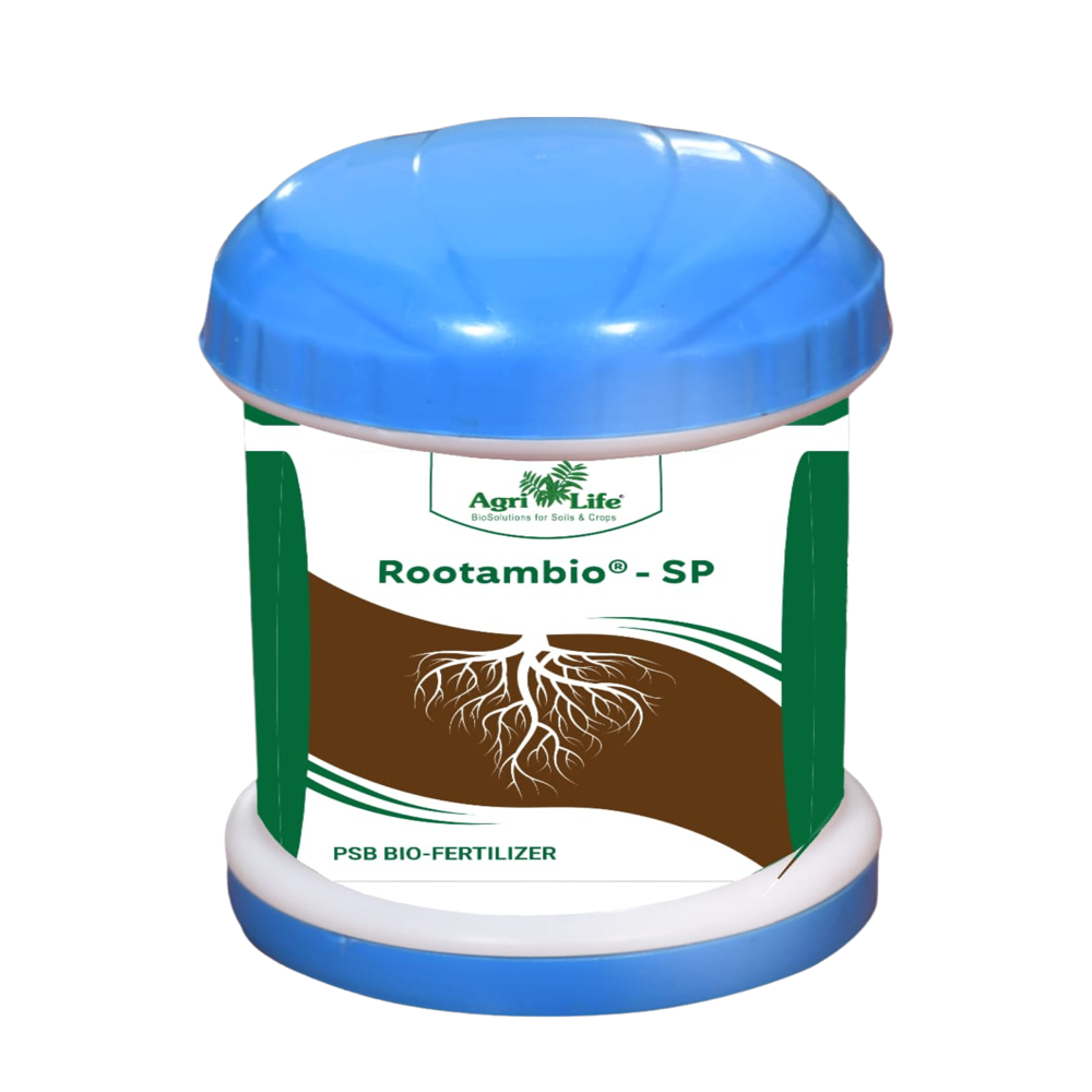 Agrilife Roo Tambio - Organic Powdered Agro Product, 99% Purity, Brown Color, Delicate Fragrance, Square Shape, Dried Texture, 12 Months Shelf Life