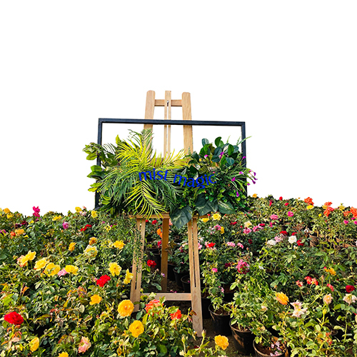 Outdoor Aritificial Grass - Feature: Durable