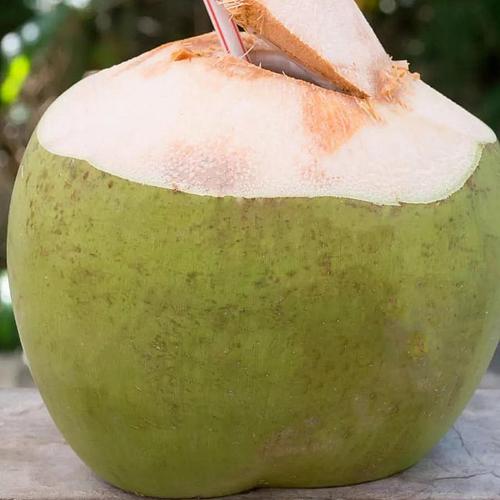 Fresh Tender Coconut - Cultivation Type: Common