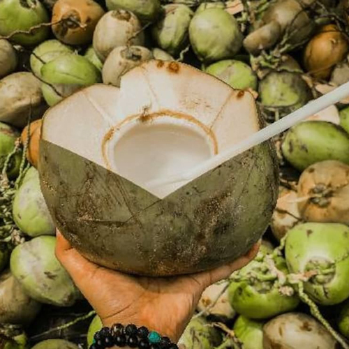 Fresh Tender Coconut