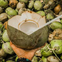 Fresh Tender Coconut