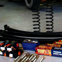 Parabolic Leaf Springs - Color: Black