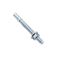 Wedge Anchor - Color: Silver