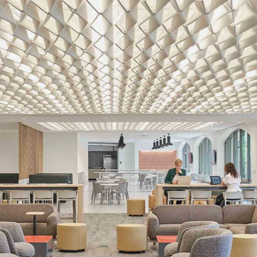 Baffle Cloud Ceiling Panel - Application: Commercial