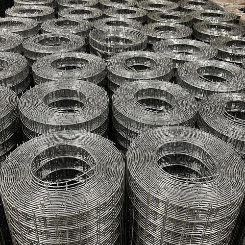 SS Welded Wire Mesh