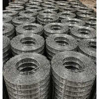 Construction Wire Mesh - Stainless Steel, 1 Inch Dimensions, 6mm Wire Diameter, Silver Color, Square Hole Shape, Hot Dipped Galvanized Surface Treatment
