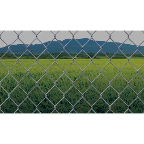 Iron Chain Link Fence