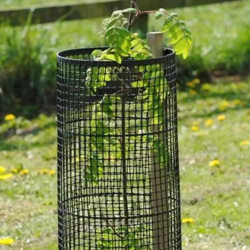 Round Mild Steel Tree Guard