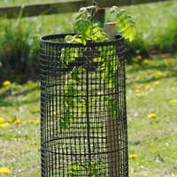 Round Mild Steel Tree Guard