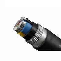 Usha Aluminium Armoured Cable - Xlpe & Pvc Insulation, 4 Cores, Aluminum Armoured Material | Durable & Reliable For Electrical Applications, Warranty Included