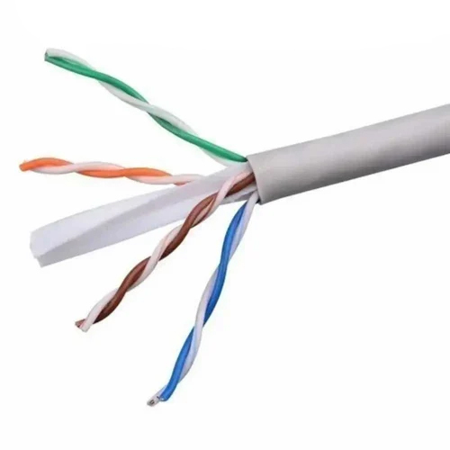 D Link Cat 6 Armoured Network Cable