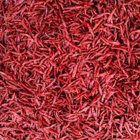 Red Chilli