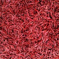 Red Chilli