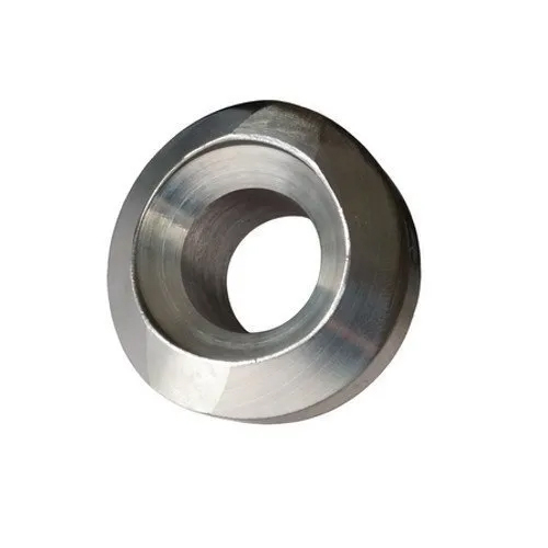 SS 316 Grade Weldolet