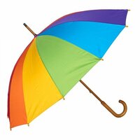 Rain Umbrella