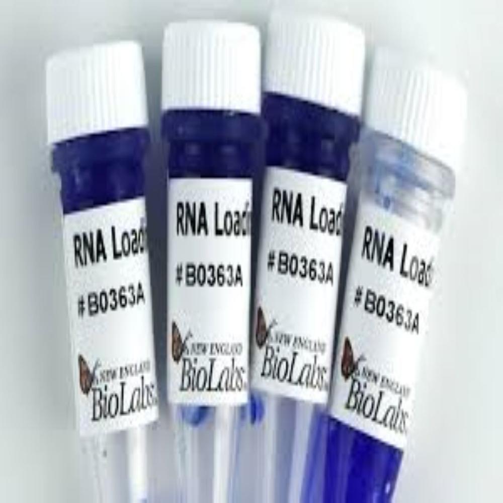 Ribonucleoside-Vanadyl Complex (200 mM) - 10 ml