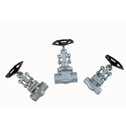 Globe Valve F304/F316 Ibr / Non Ibr - Color: Silver