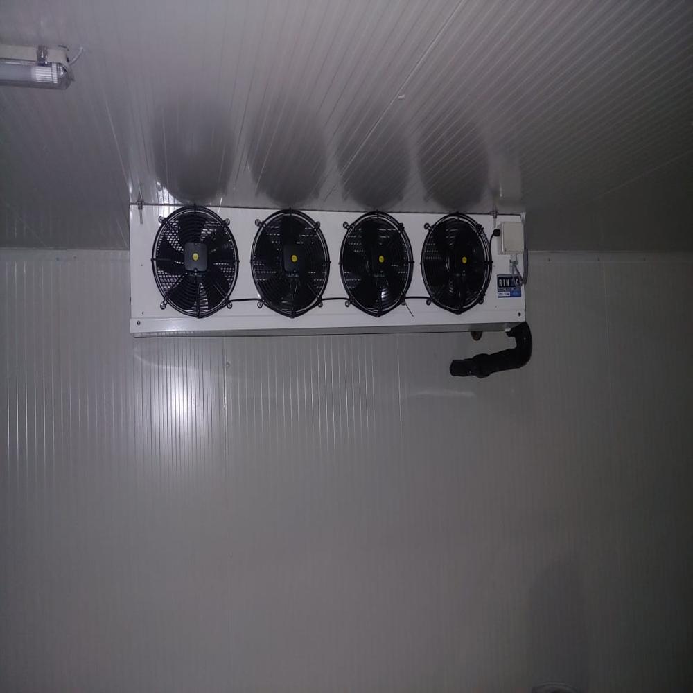 Industrial Banana Ripening Chamber