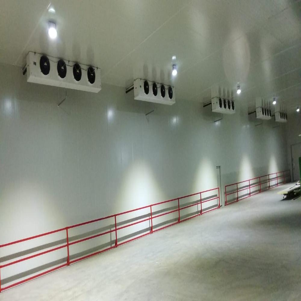 Bulk Cold Storage