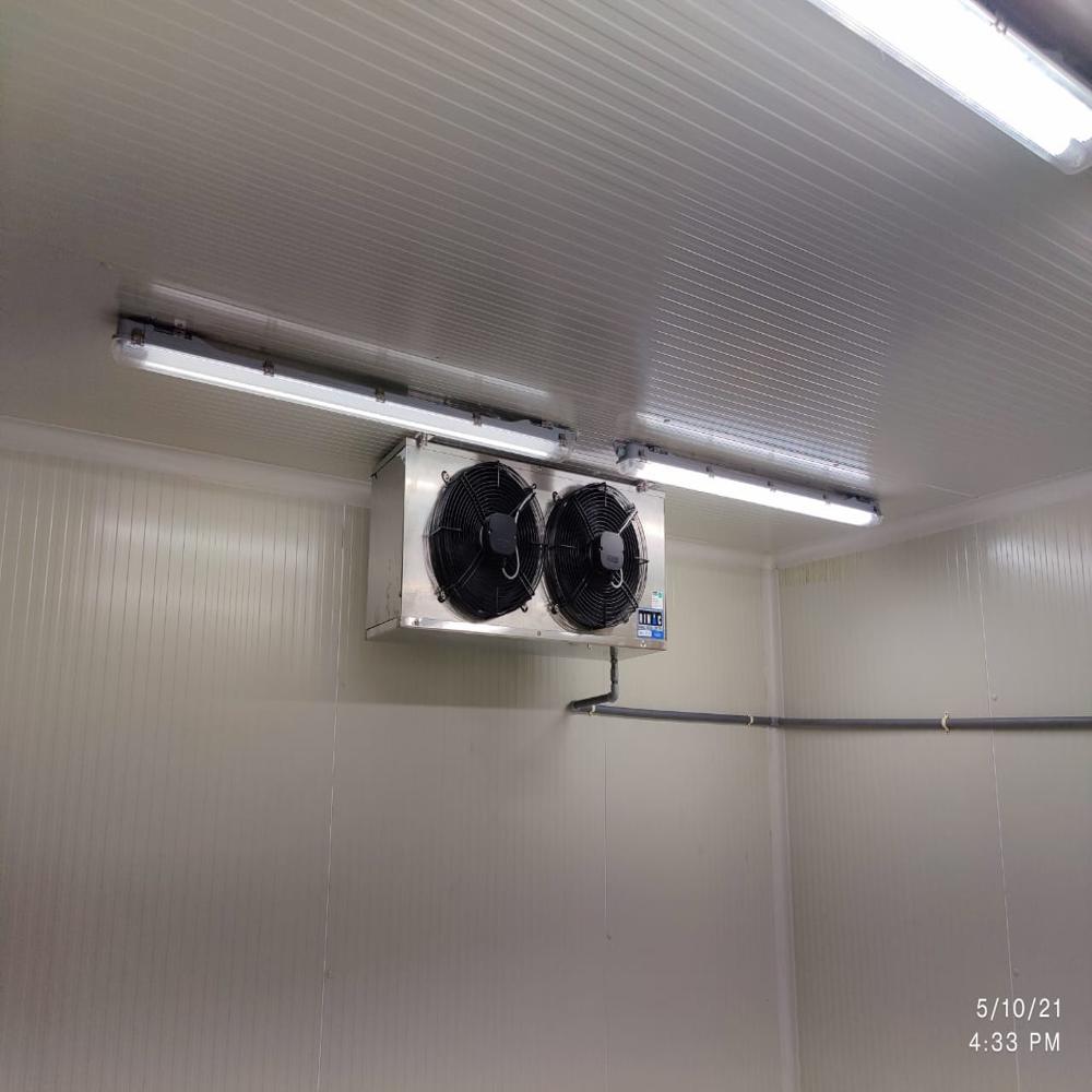 Freezer Room