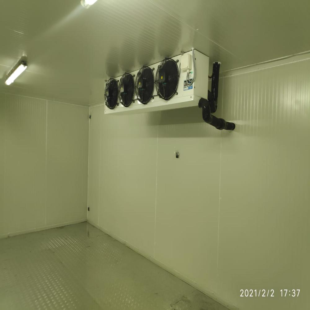 Freezer Room