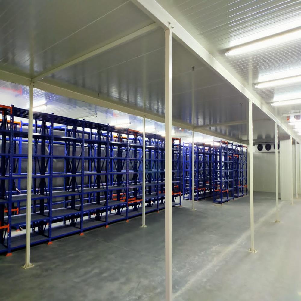 Ice Cream Cold Storage - Capacity: 1500 To 5000 Liter/day