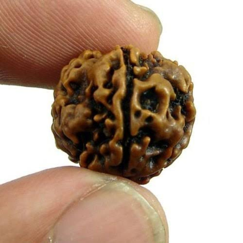 Ek Mukhi Rudraksha - Jewelry Type: Mala