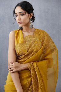 organza worked saree