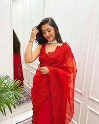 organza worked saree