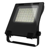 60w LED Flood Light