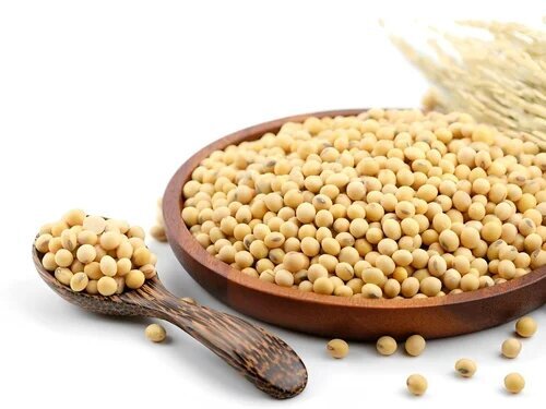 Soya Isoflavone Extract 40%