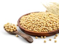Soya Isoflavone Extract 40%