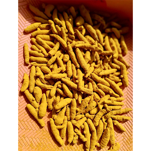 Turmeric Finger - Color: Yellow