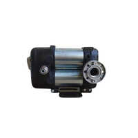 12V Piusi Diesel Pump - Color: Silver