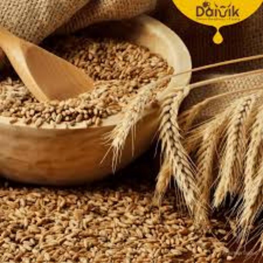 Organic Whole Wheat Grain - Color: Yellow